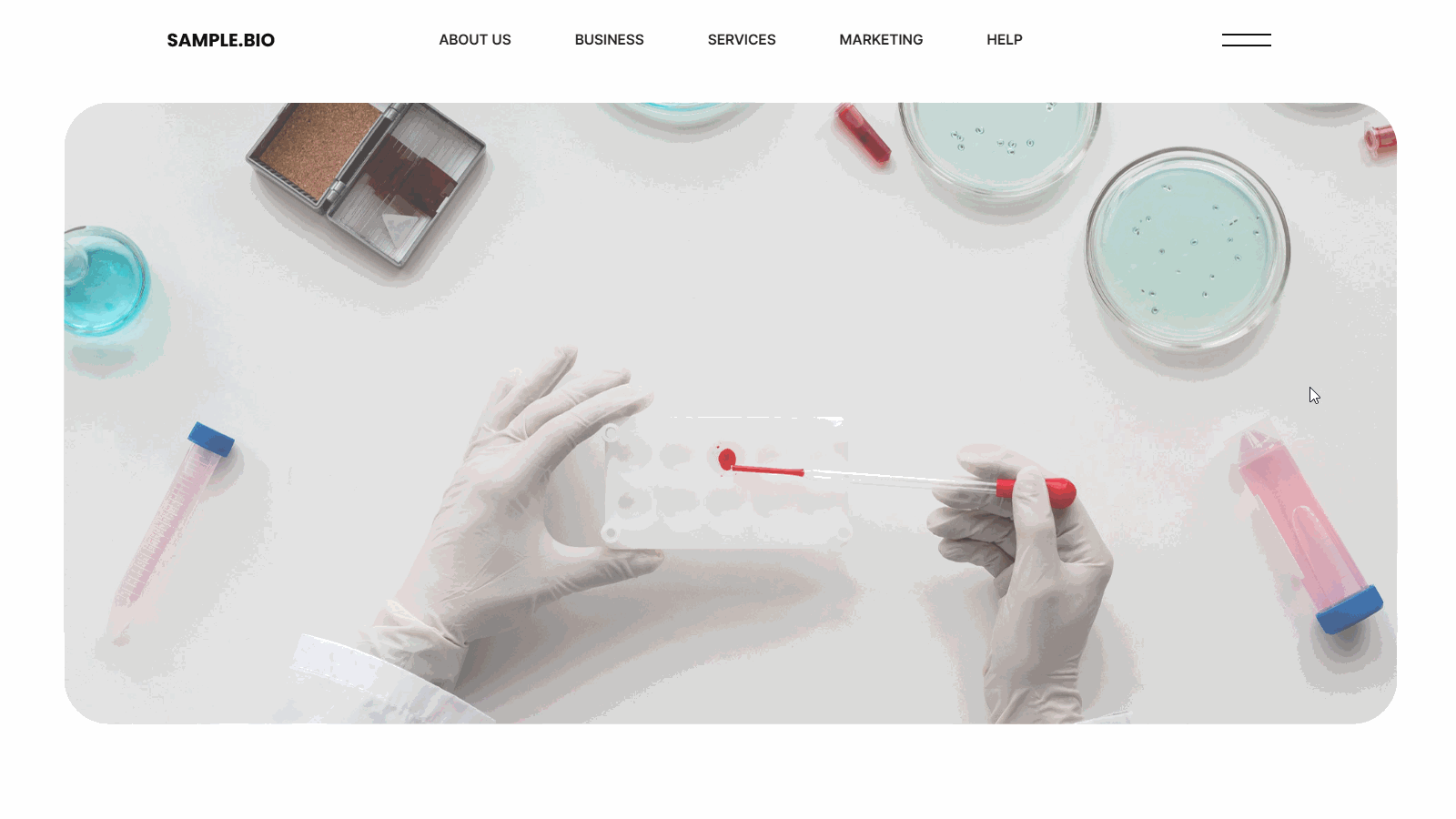 Main Page